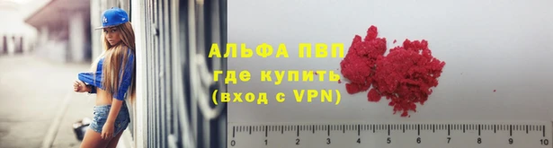 сатива Приозерск