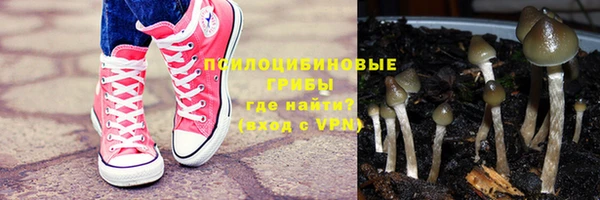 сатива Приозерск