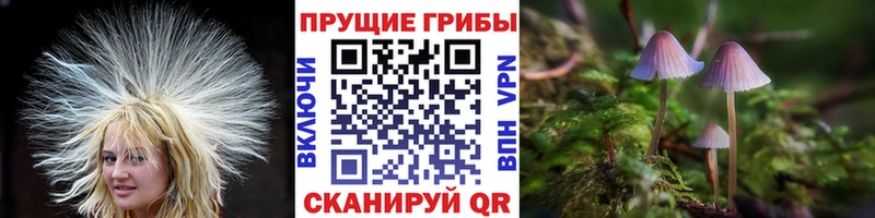 Галлюциногенные грибы мухоморы  Алдан 
